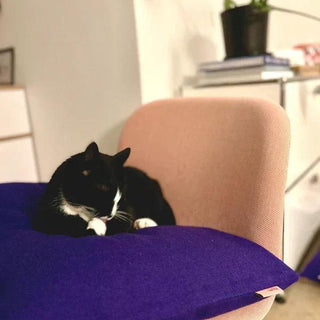katzen lieben hum schurwollkissen
