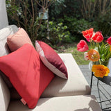 #farbe_hibiskus-merlot